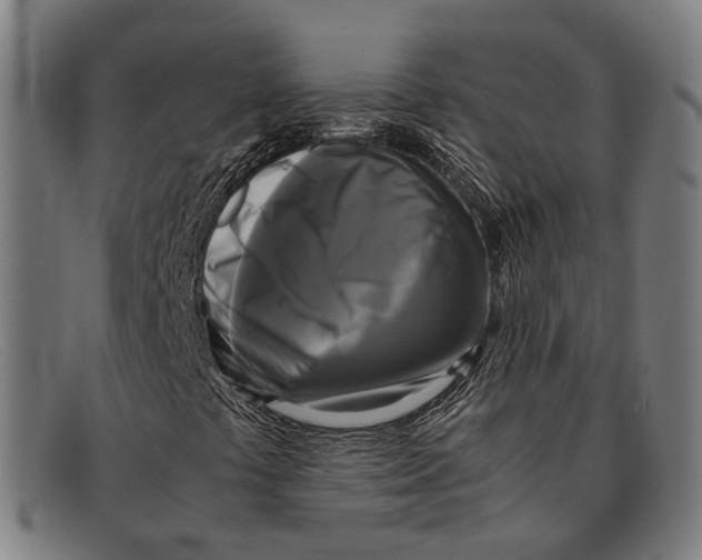 X0000091481441200709131802