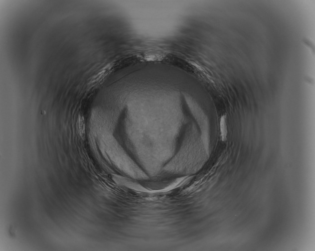 X0000091481443200709131802