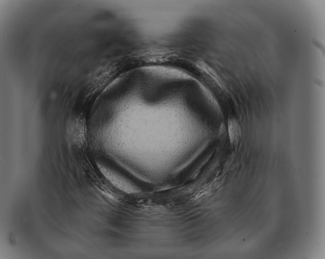 X0000091481444200709131802