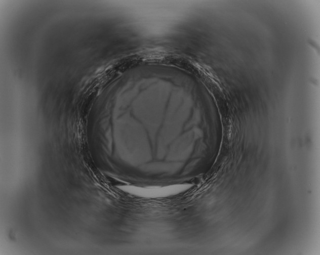 X0000091481445200709131802