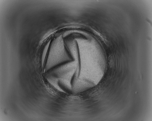 X0000091481448200709131802