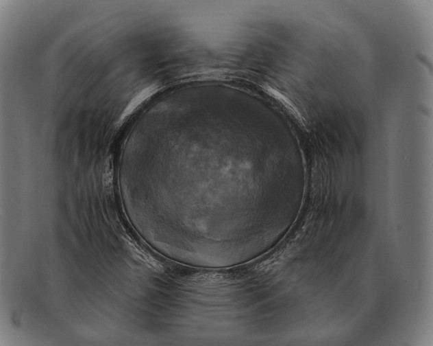 X0000091481450200709131802