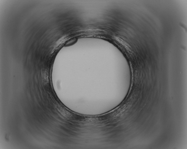 X0000091481451200709131802