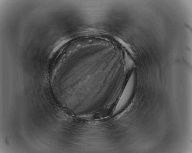 X0000091481453200709131802