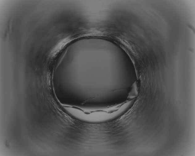 X0000091481455200709131802