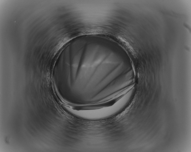 X0000091481457200709131802