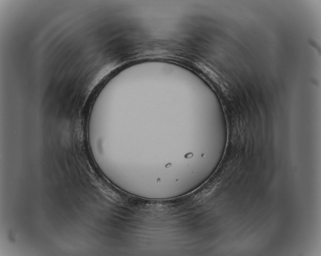 X0000091481458200709131802