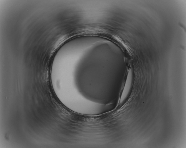 X0000091481459200709131802