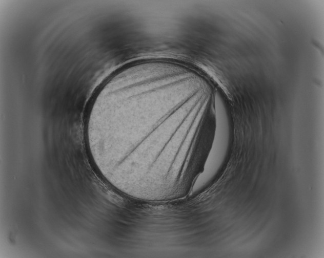 X0000091481460200709131802