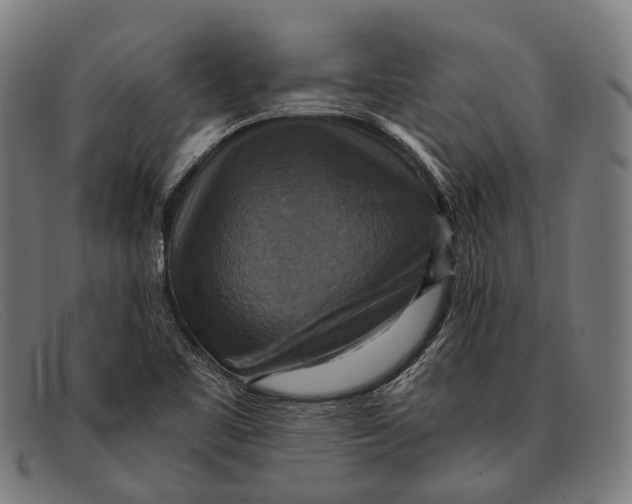 X0000091481461200709131802