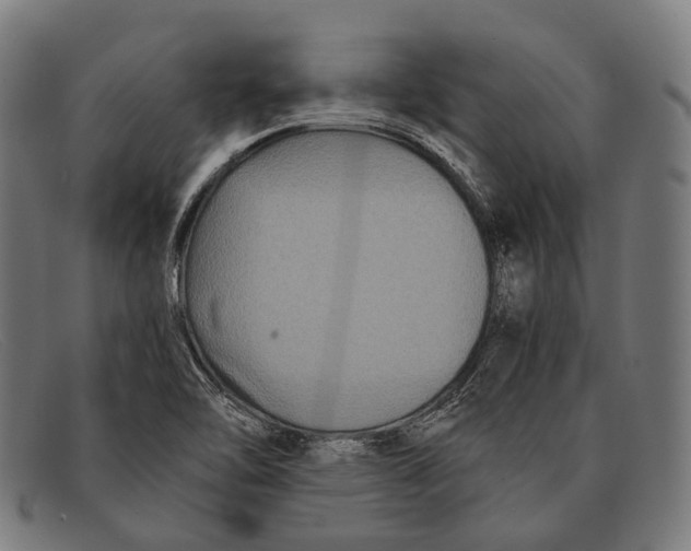 X0000091481462200709131802