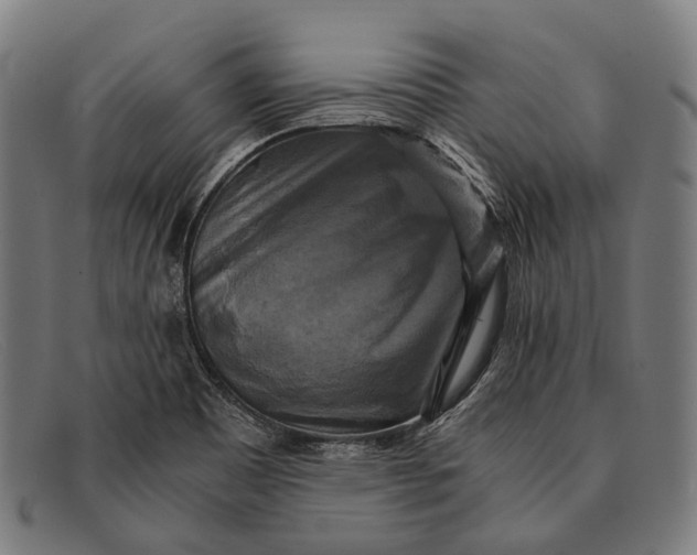 X0000091481465200709131802