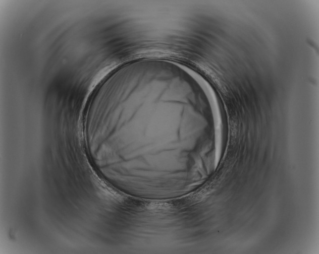 X0000091481466200709131802