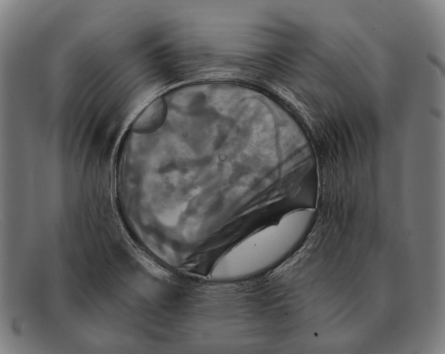 X0000091481467200709131802