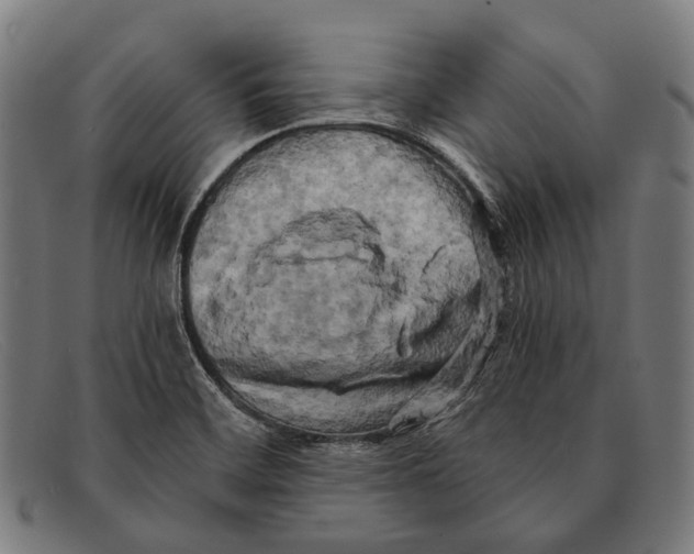 X0000091481468200709131802