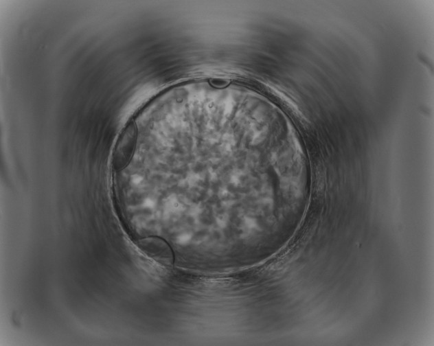 X0000091481471200709131802