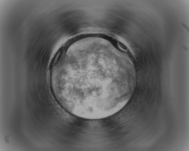 X0000091481472200709131802