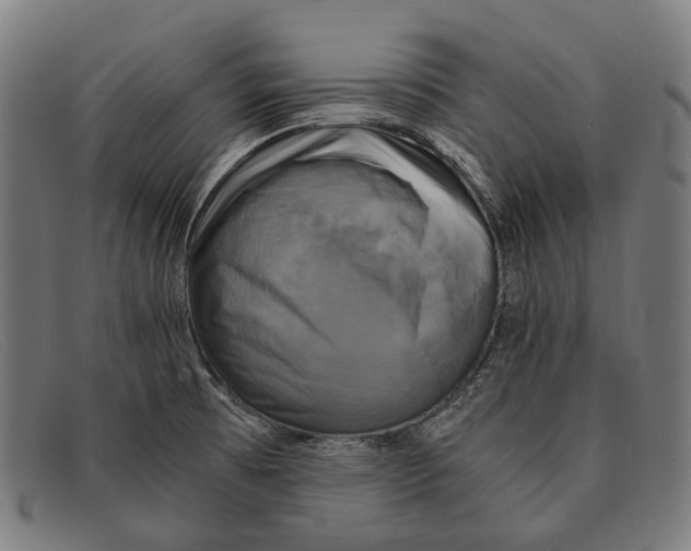 X0000091481473200709131802