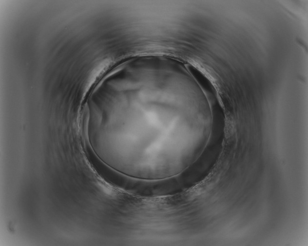 X0000091481477200709131802