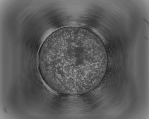 X0000091481479200709131802