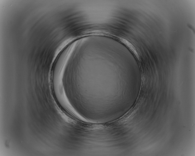 X0000091481482200709131802