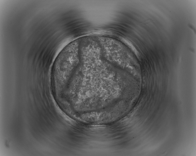 X0000091481483200709131802