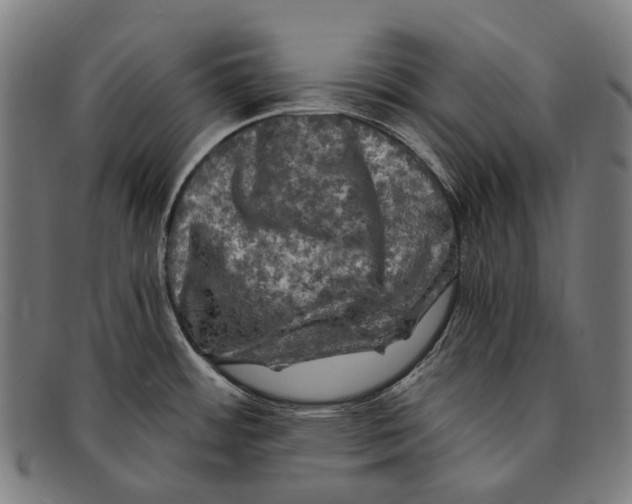 X0000091481484200709131802