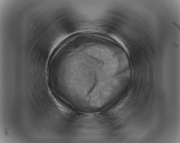 X0000091481485200709131802