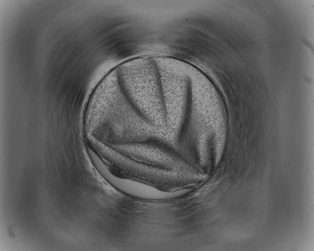 X0000091481488200709131802