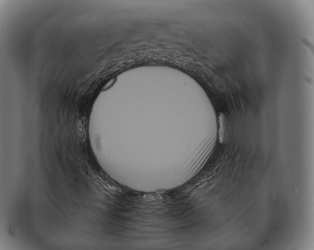 X0000091481491200709131801