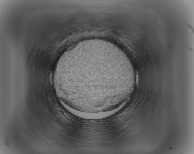 X0000091481492200709131801