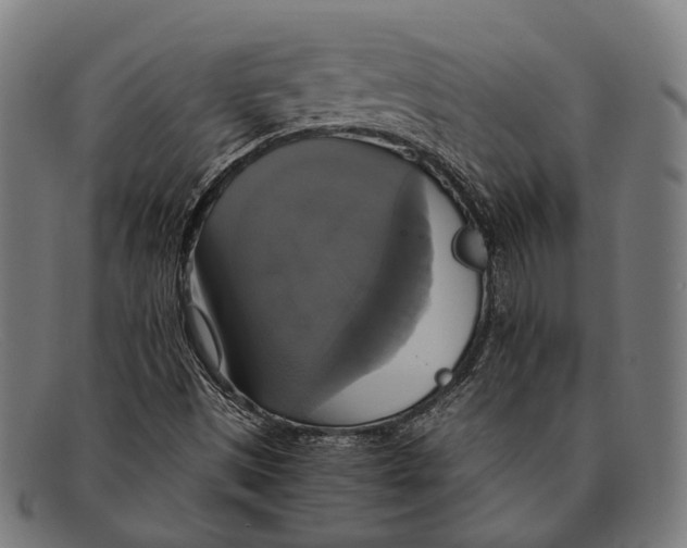 X0000091481497200709131801