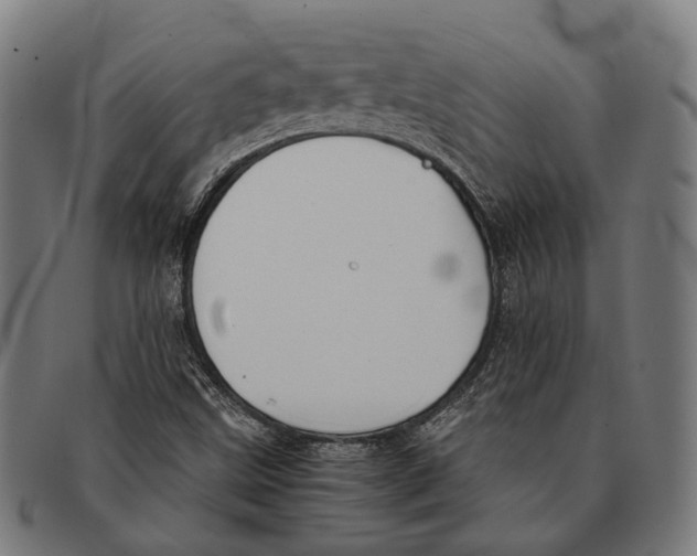 X0000091481499200709131801