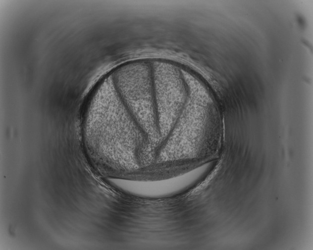 X0000091481501200709131801