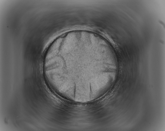 X0000091481504200709131801