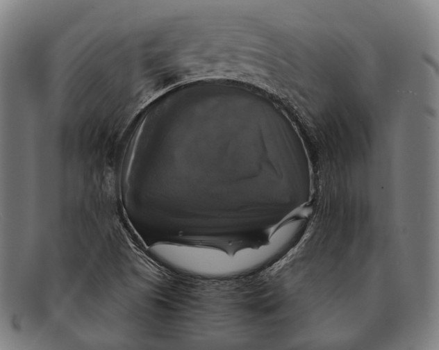 X0000091481505200709131801