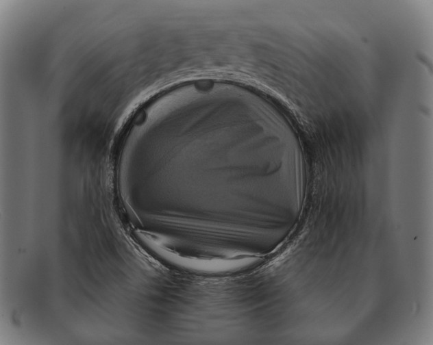 X0000091481506200709131802