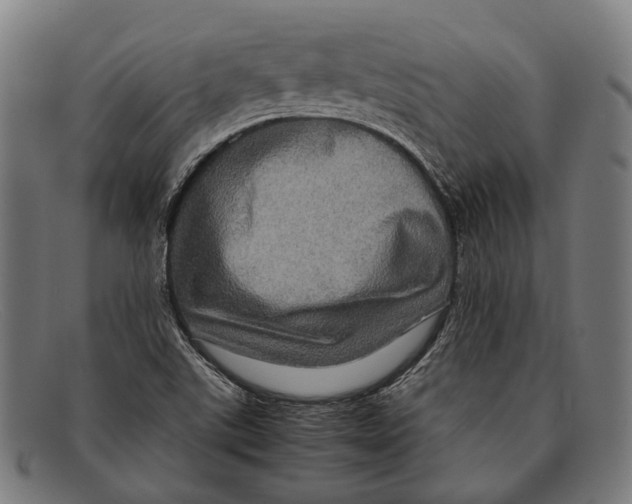 X0000091481507200709131802