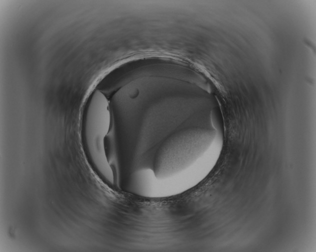 X0000091481508200709131802