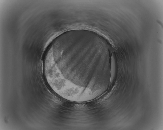 X0000091481509200709131802