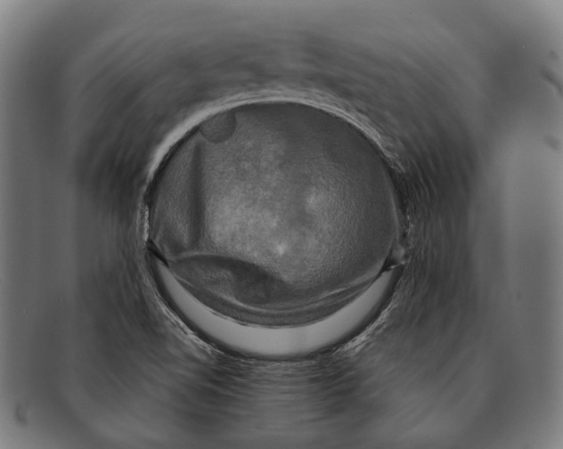 X0000091481510200709131802