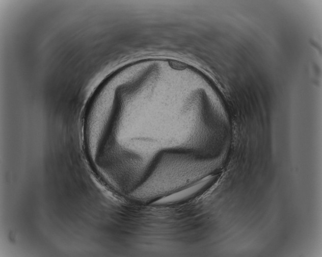 X0000091481511200709131802