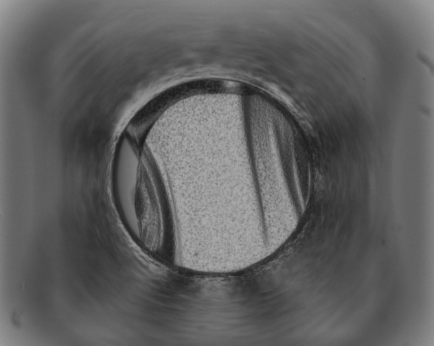 X0000091481512200709131802