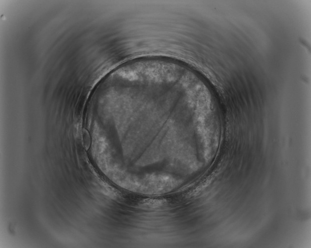 X0000091481513200709131802