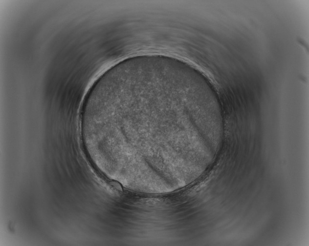 X0000091481517200709131802