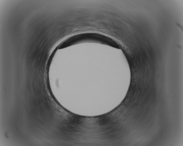 X0000091481518200709131802