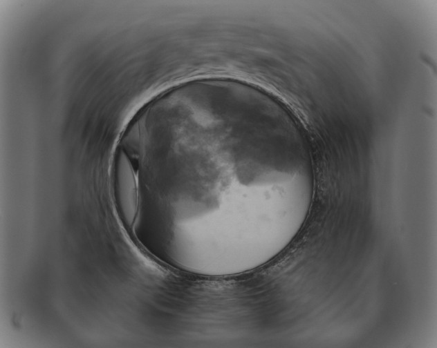 X0000091481519200709131802