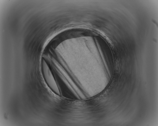 X0000091481520200709131802