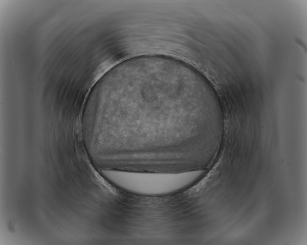 X0000091481521200709131802