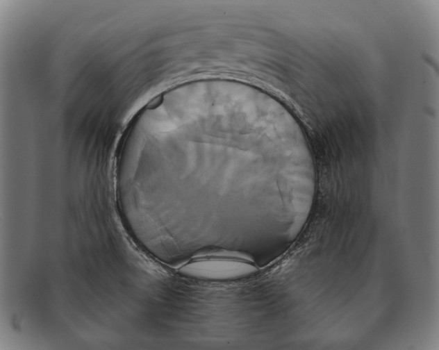 X0000091481522200709131802